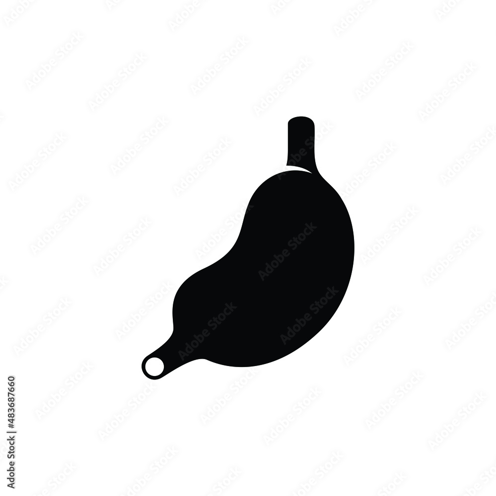 Stomach icon vector isolated on white, sign and symbol illustration. Stomach icon vector isolated on white, sign and symbol illustration.