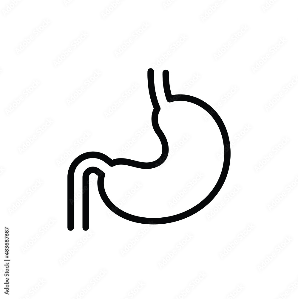 Stomach thin icon vector isolated on white, human organ sign and symbol illustration. Stomach thin icon vector isolated on white, human organ sign and symbol illustration.