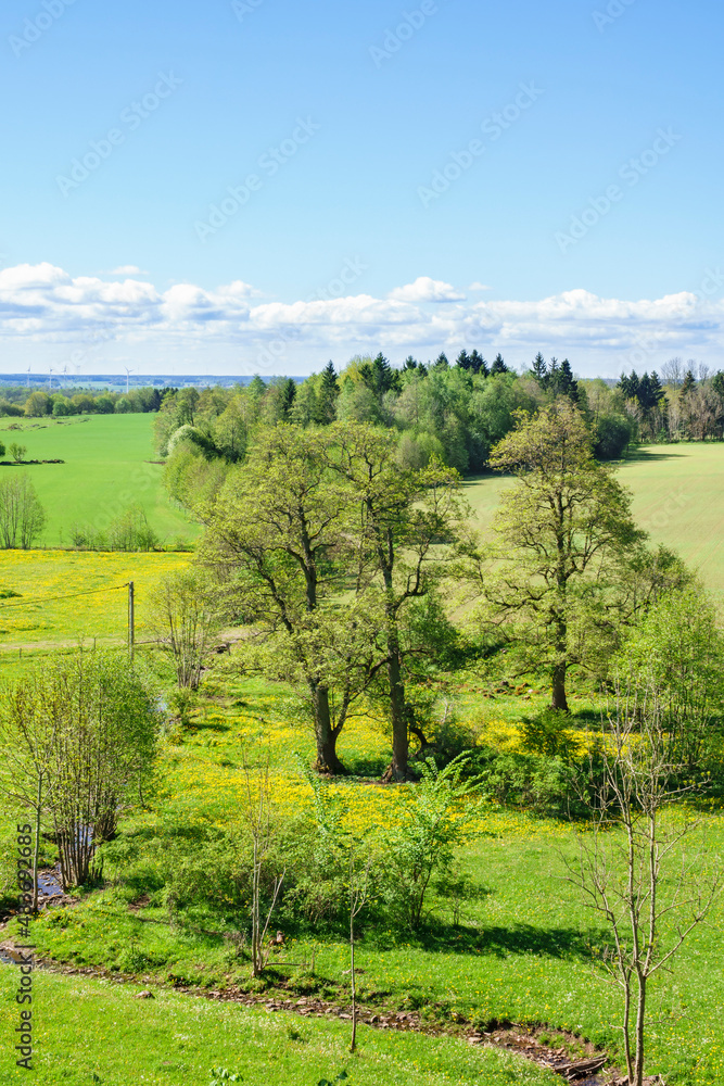 Obraz premium Summer view of a rural landscape