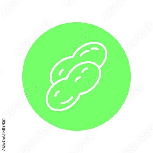 Peanut Isolated Vector icon which can easily modify or edit


