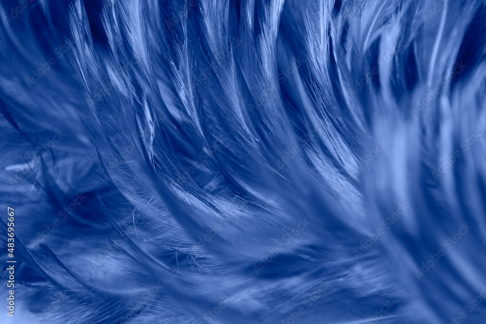 Beautiful Dark Blue Feathers Texture Vintage Background