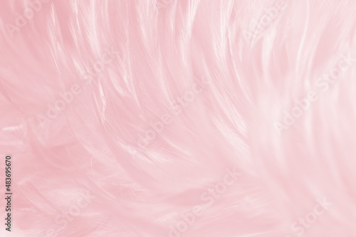 Beautiful Soft Pink Feathers Texture Vintage Background