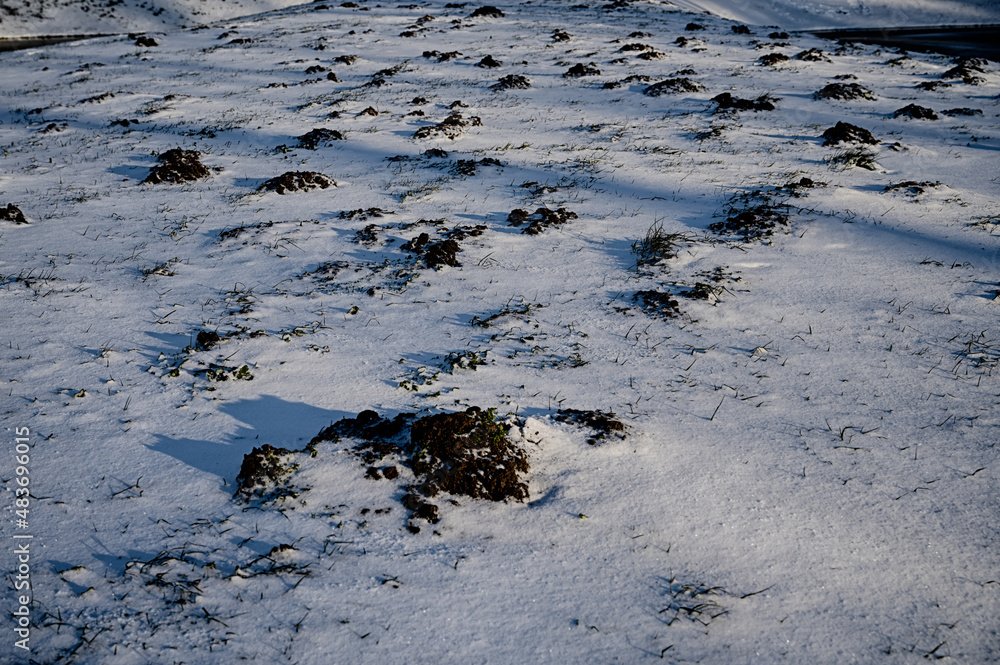 Snowy field Snowy field