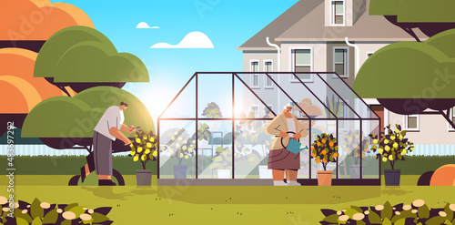 women gardeners taking care of potted plants at backyard greenhouse or home garden horizontal
