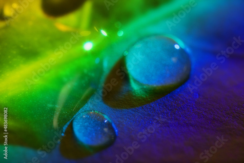 Raindrop on green leaf in rays of rainbow. Beauty of natural color in drop of ultra-macro. Bright colors excite delight