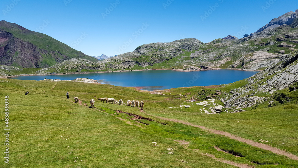 french pyrenees south mountains ossau lake valley in France