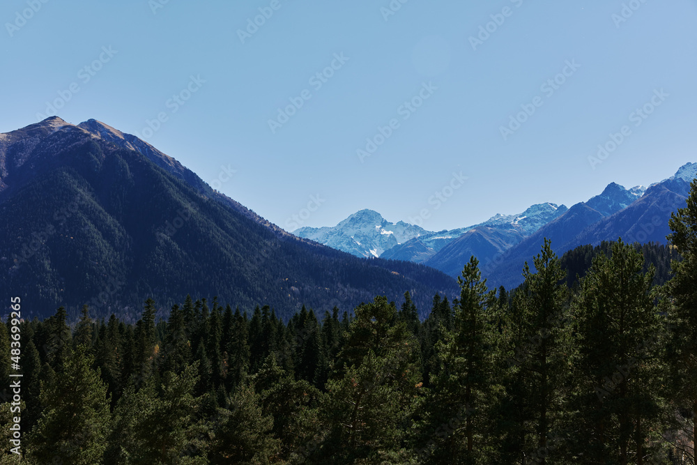 mountain forest nature landscape sky weather hill environment