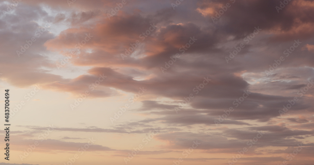 background of clouds on evening sky with bird and landing plane