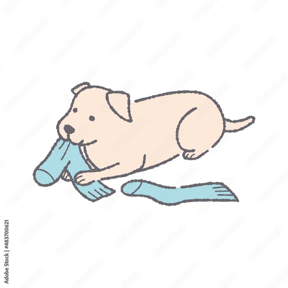 靴下を噛む犬 Stock Vector Adobe Stock