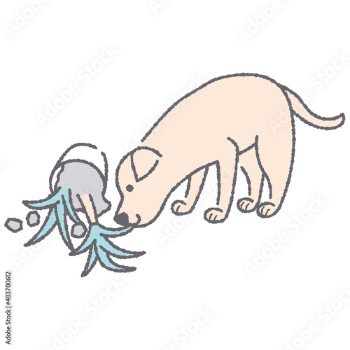 犬と倒れた観葉植物