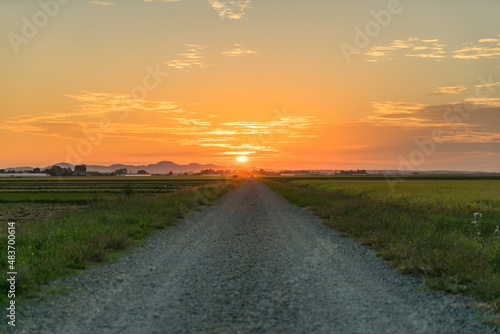 田舎道と夕焼け