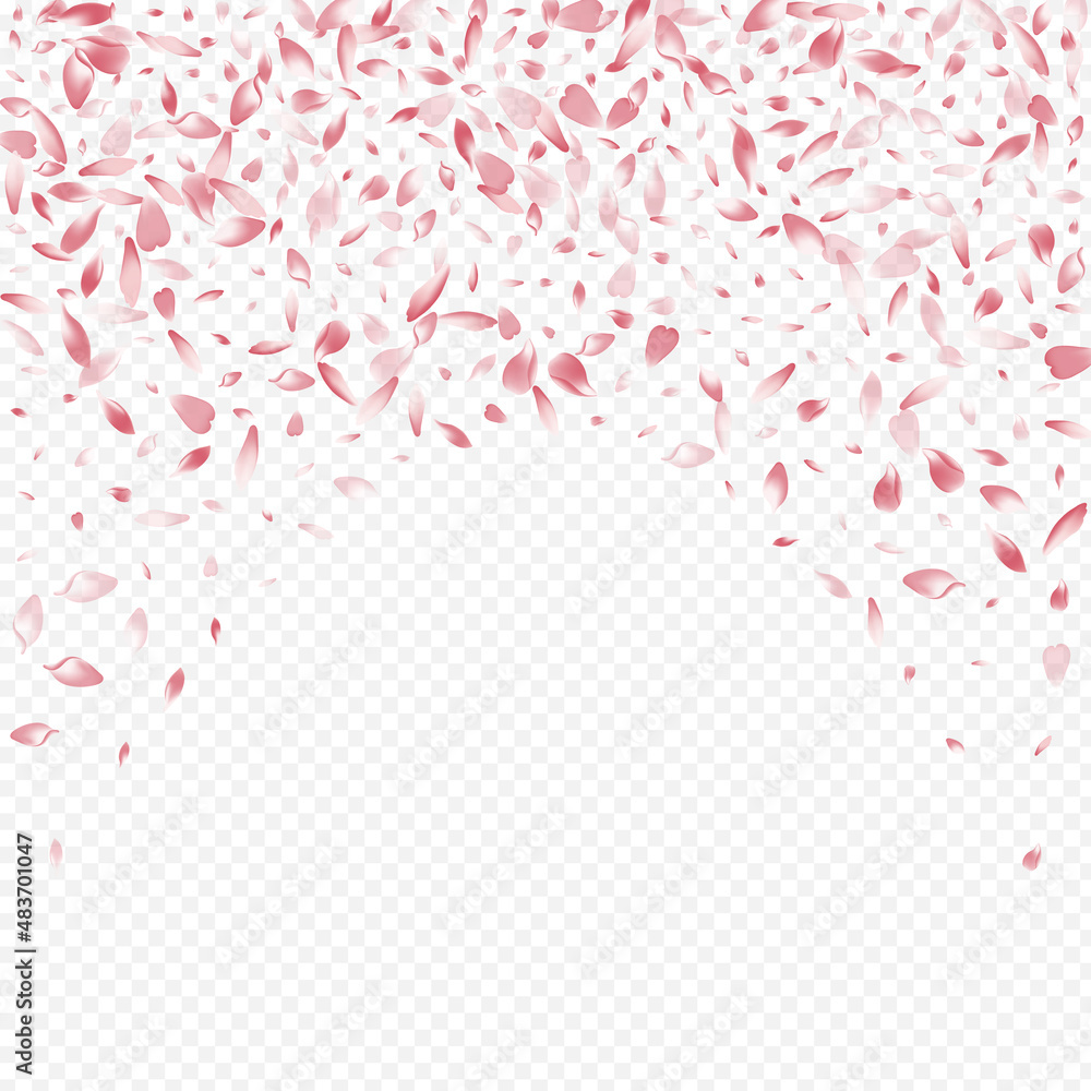 Bright Flower Vector Transparent Background.