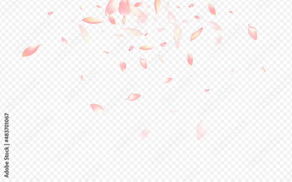 White Confetti Vector Transparent Background. White Confetti Vector Transparent Background.
