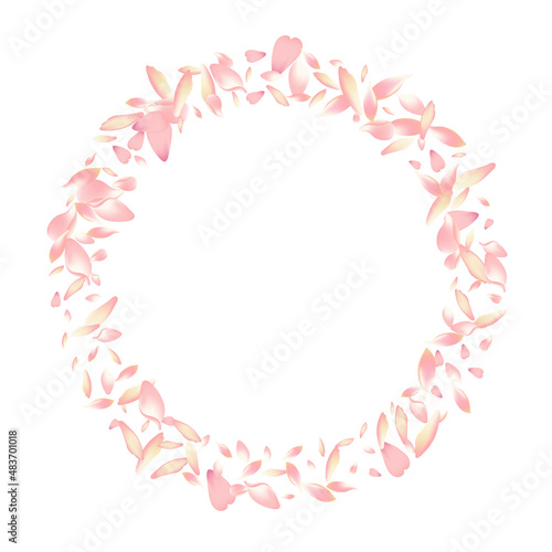 Transparent Cherry Petal Vector White Background.