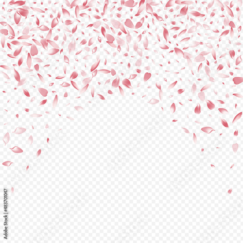 Bright Flower Vector Transparent Background.