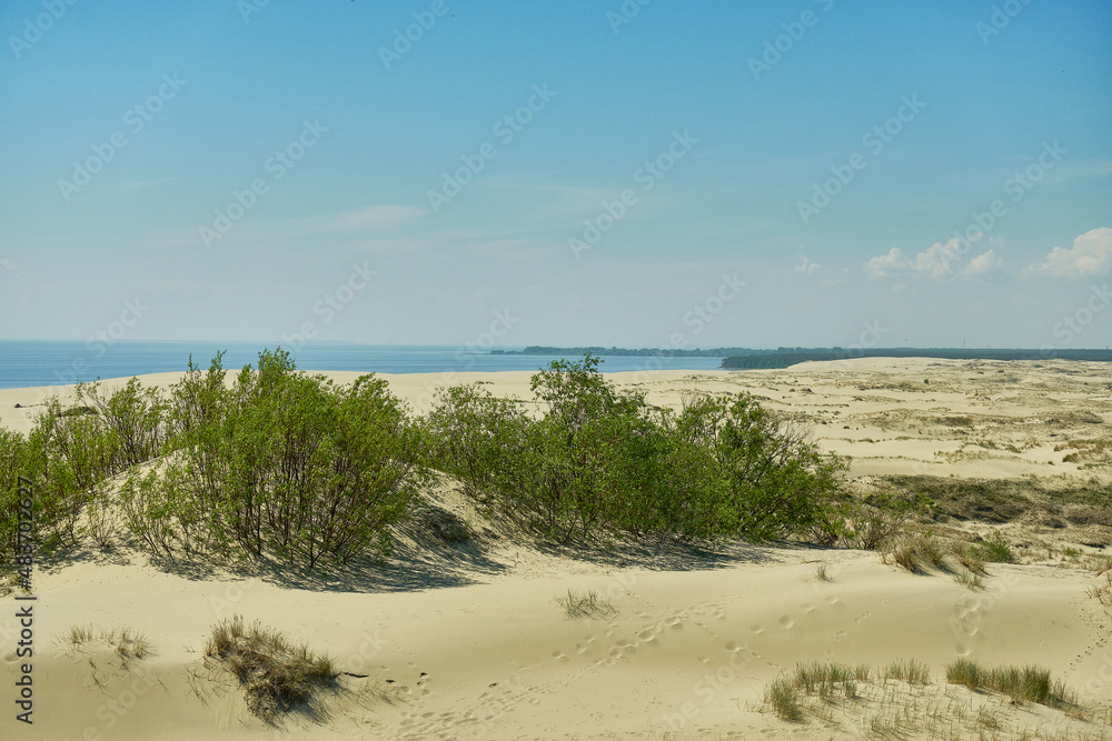 Sand dunes of the russian part Curonian Spit. Kaliningrad region, Russia Sand dunes of the russian part Curonian Spit. Kaliningrad region, Russia