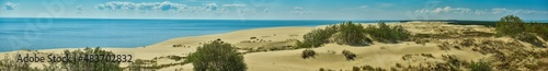Sand dunes of the russian part Curonian Spit. Kaliningrad region, Russia. Panorama. photo