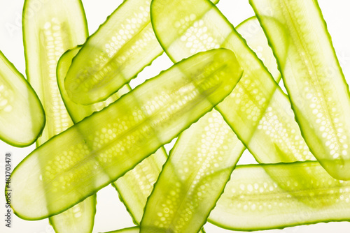 Beautiful fresh transparent cucumber slices on white background