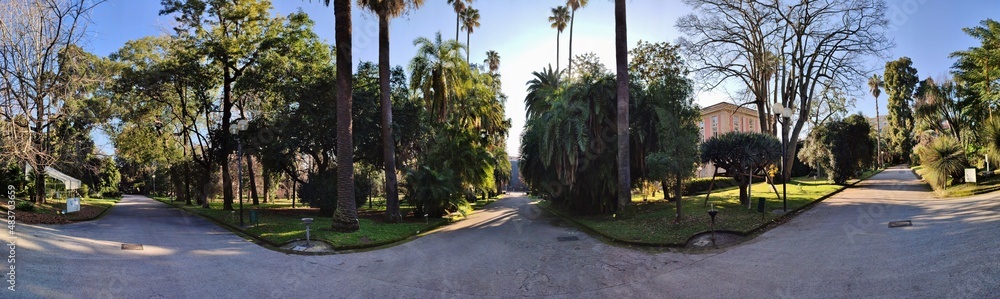 Napoli - Panoramica dei vialetti del Real Orto Botanico