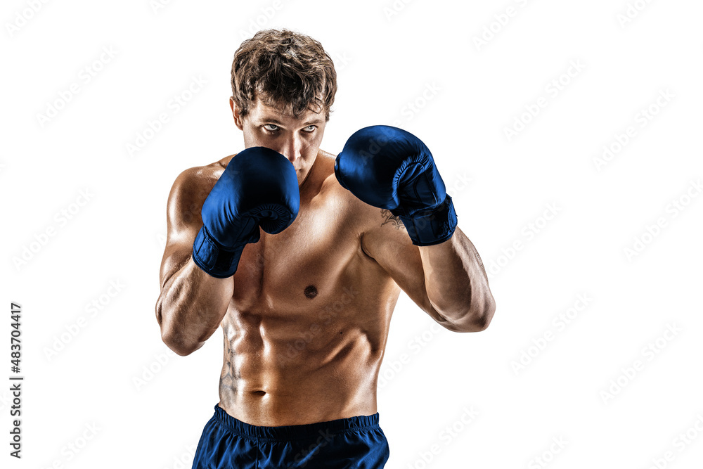 Half length of muscular boxer in blue gloves who stands on white background. Sport concept 