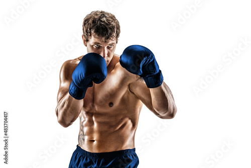 Half length of muscular boxer in blue gloves who stands on white background. Sport concept 