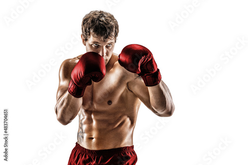 Half length of muscular boxer in red gloves who stands on white background. Sport concept 