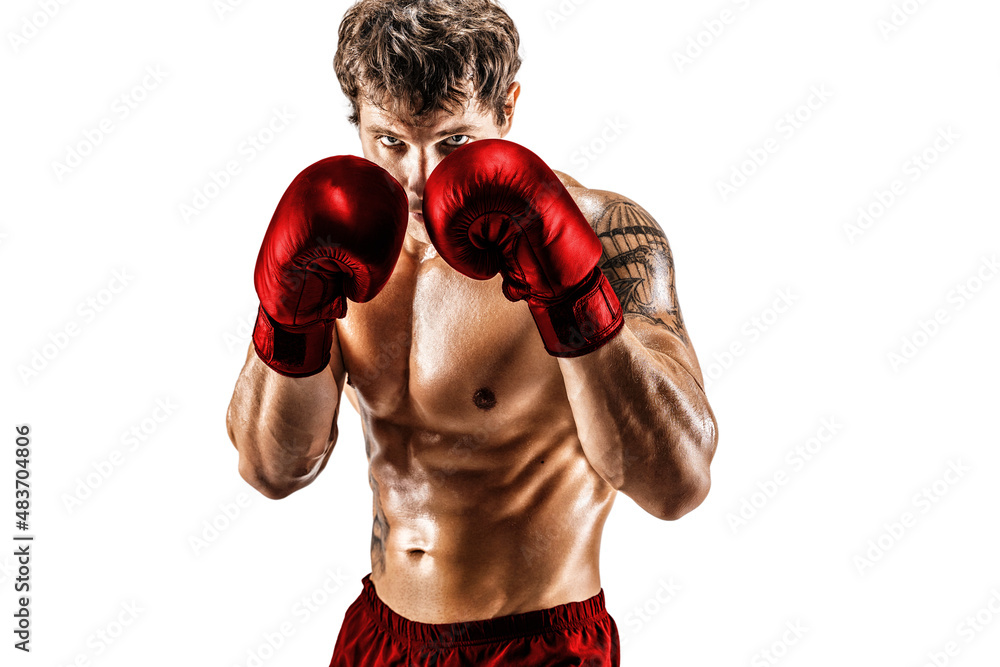 Portrait of muscular boxer in red gloves who stands on white background. Sport concept 