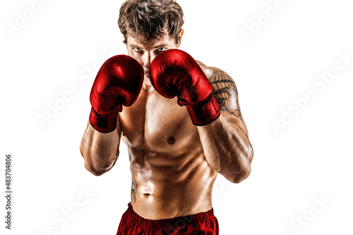Portrait of muscular boxer in red gloves who stands on white background. Sport concept 