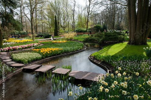 Flowering tulips at Keukenhof botanical garden in Lisse, Netherlands. 