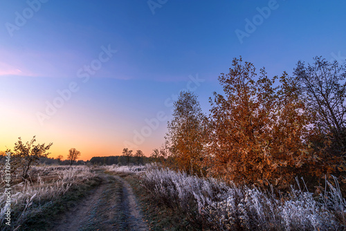 Misty morning in a field. Quiet, autumn sunrise over the field. Beautiful landscape. First sunny rays.