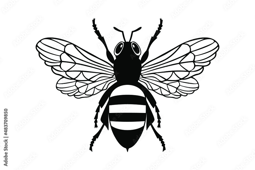 Honey Bee icon, honey bee silhouette on white background Honey Bee icon, honey bee silhouette on white background