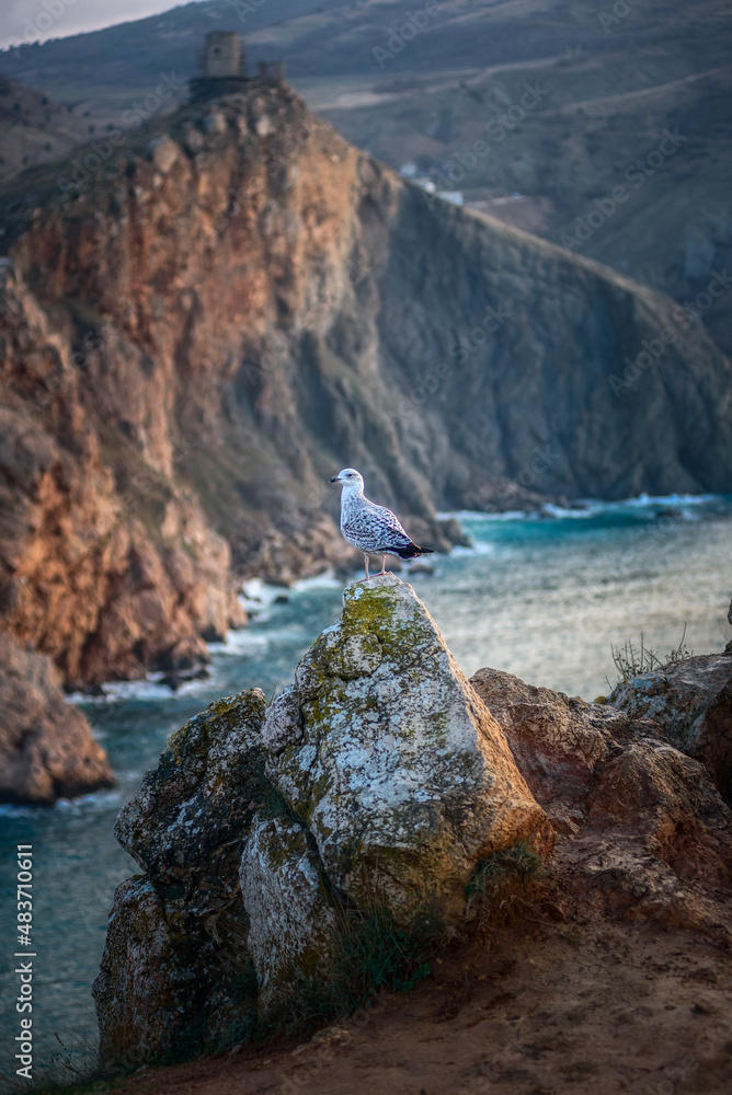 Obraz premium Landscape, sea, mountains, and a bird sitting on a rock.