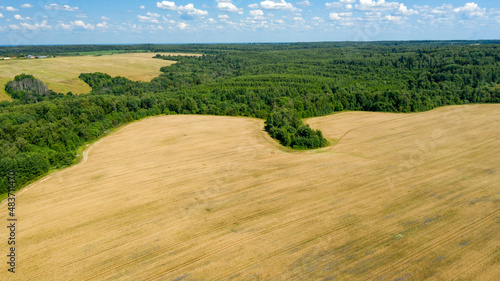 Scenic view of agricultural field with cereals on a summer farm. Aerial photography, top view drone shot. Agricultural area of Moscow region. Agrarian land in summertime. Beauty of earth