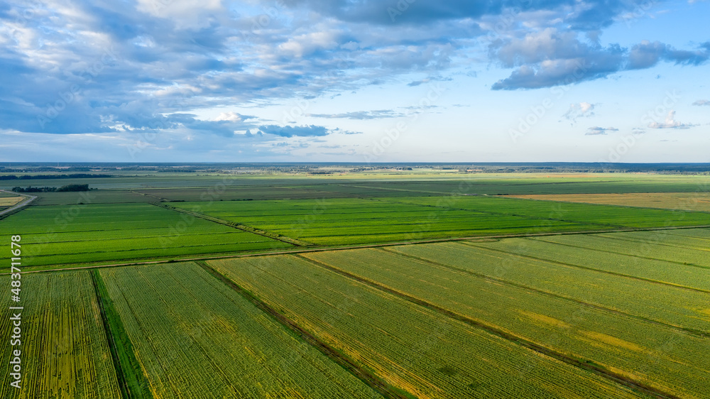Scenic rows of agricultural fields on a summer farm in the evening. Aerial photography, top view drone shot. Agricultural area of Moscow region. Agrarian land in summertime. Beauty of earth