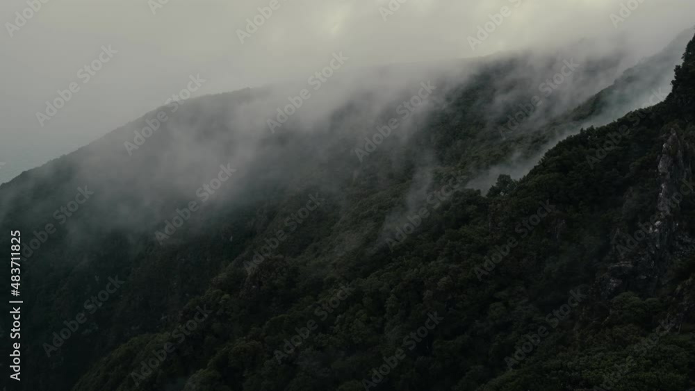 Clouds moving above forest mountains in Fanal Clouds moving above forest mountains in Fanal