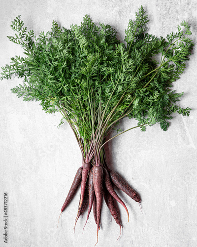 A bunch of freshly picked purple carrots on a neutral surface photo