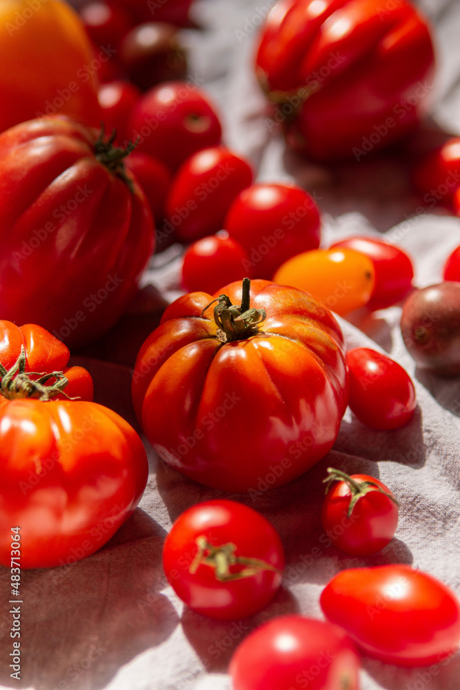 A Selection of Summer Tomatoes on a white linen A Selection of Summer Tomatoes on a white linen