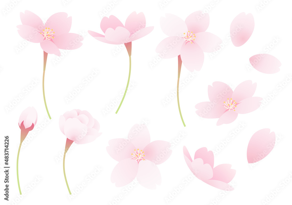 桜のパーツのベクターイラスト素材セット(art,floral,bloom,flower)
