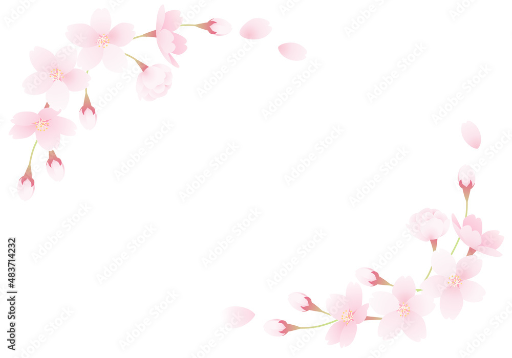 桜の花のベクターイラストフレーム(art,card,Invitation,celebration,wedding)