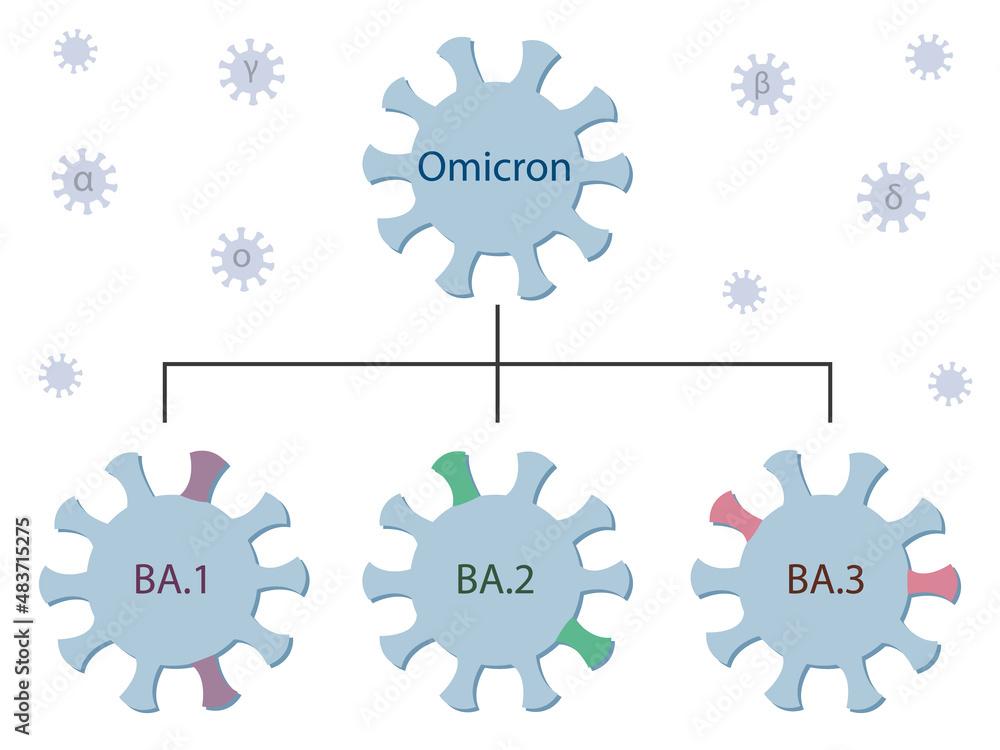 Omicron Variant And Its Subtypes BA.1, BA.2 And BA.3. Omicron Genetic ...