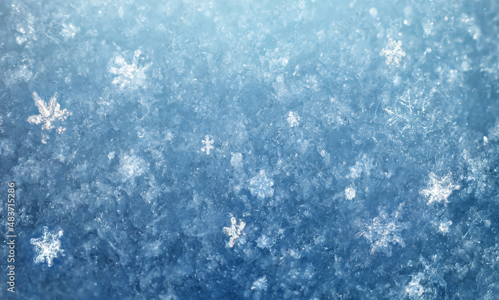 Snow in winter close-up. Macro image of snowflakes, winter background. Nice background on the theme of winter, christmas, new year. Frost Winter texture iced surface,.