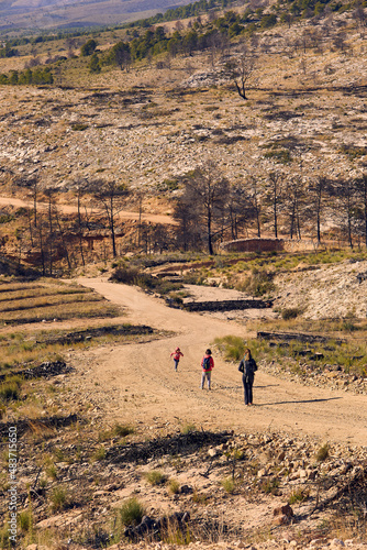 Paseo forestal después de incendio en bosque de pinos