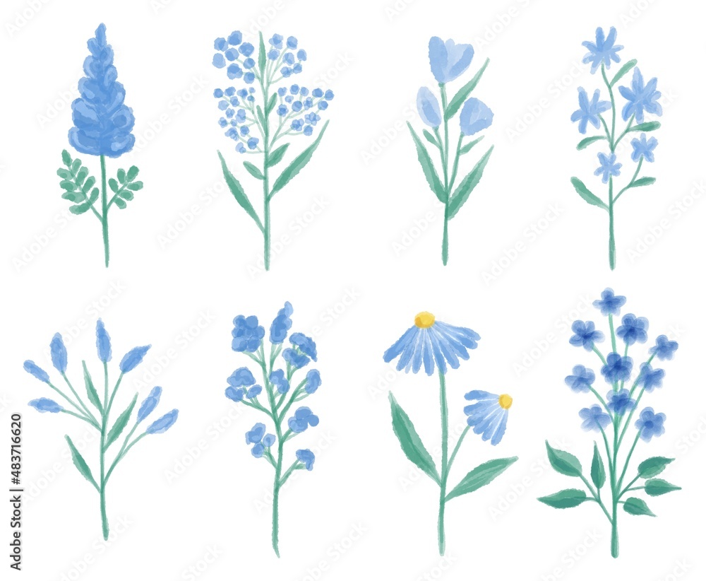 Watercolor set of various blue meadow Flowers. Botanical hand drawing illustration isolated on white background. Floral composition for wedding or greeting card.