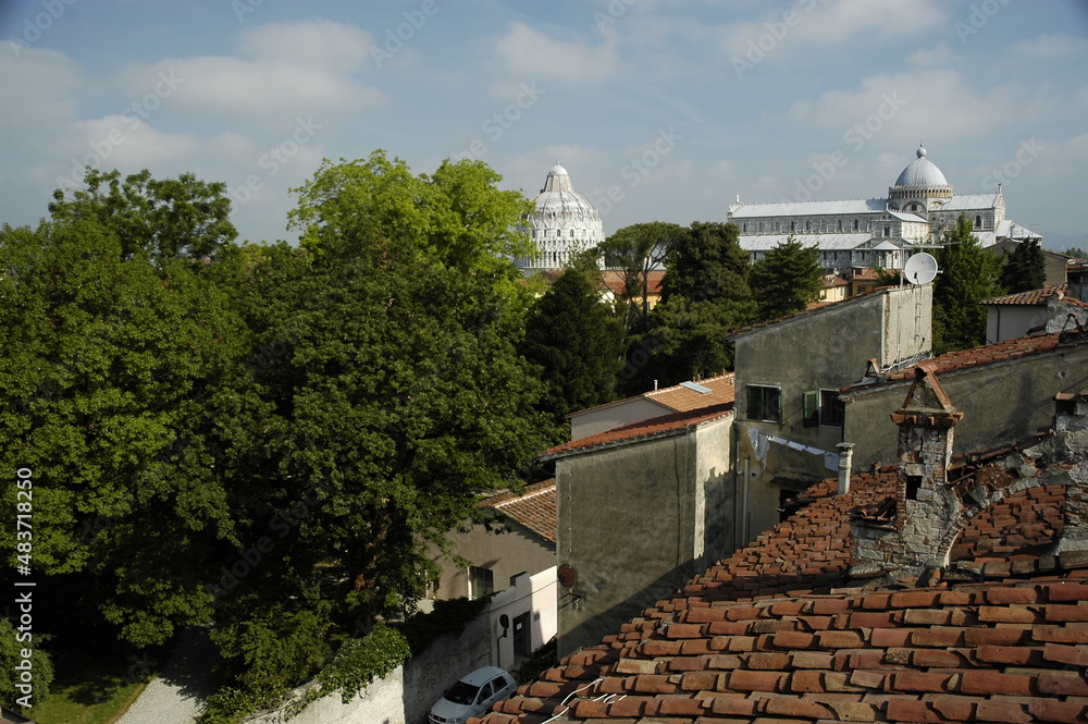 Pisa. Panorama dai tetti del Duomo con il Battistero, dopo gli alberi del Giardino Botanico