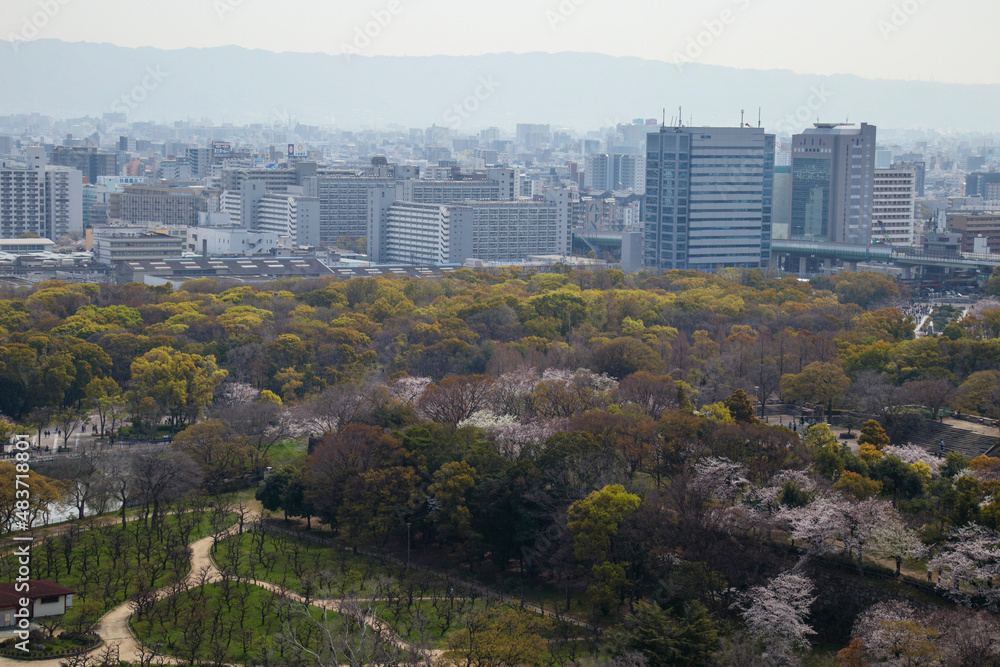 Obraz premium 桜の咲く大阪城公園と大阪の街並み