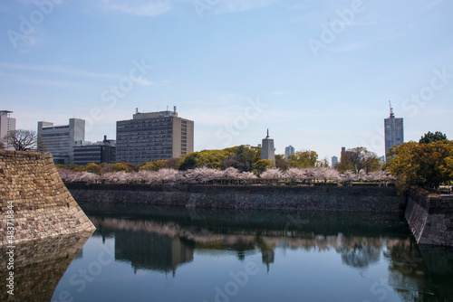 桜の咲く大阪城のお堀 © decoplus