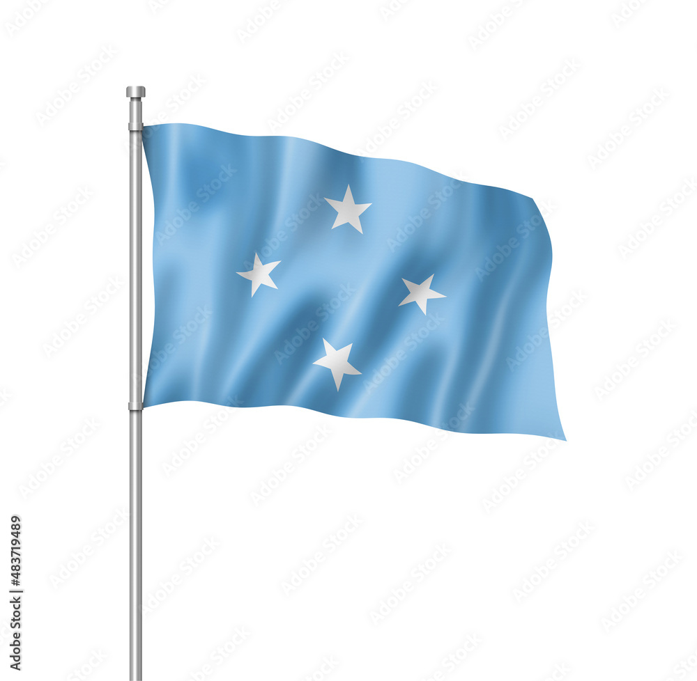 Micronesian flag isolated on white Micronesian flag isolated on white
