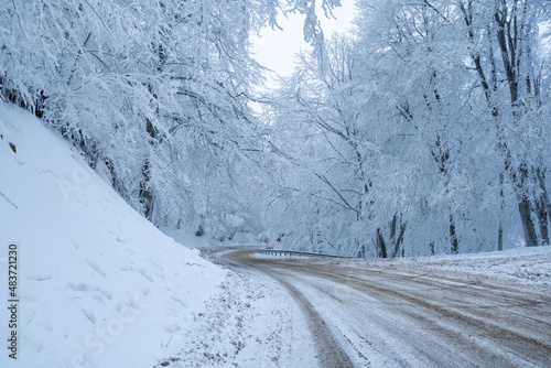 Road in Sabaduri forest with covered snow. Winter time. Landscape