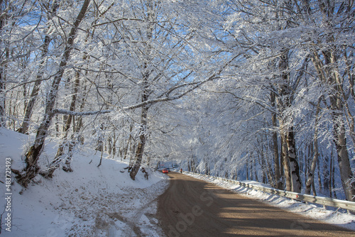 Road in Sabaduri forest with covered snow. Winter time. Landscape photo