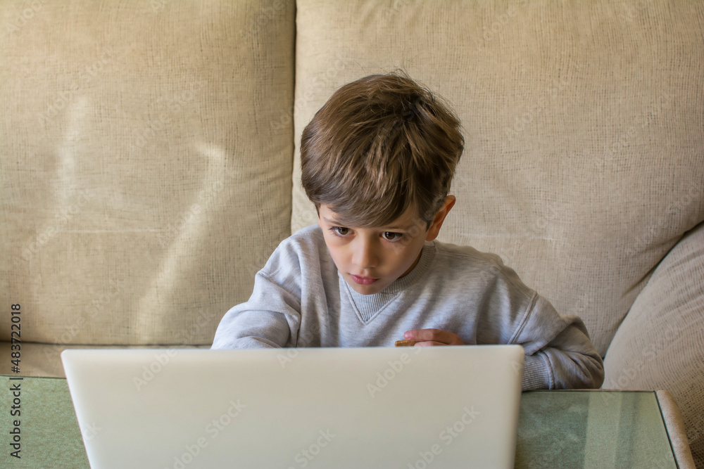 Young Caucasian Boy Using Laptop. Child Using The Laptop In The Living Room At Home And Sitting On The Sofa, He Is In His Pajamas. He Entertains Himself Playing With New Technologies. Lifestyle. Young Caucasian Boy Using Laptop. Child Using The Laptop In The Living Room At Home And Sitting On The Sofa, He Is In His Pajamas. He Entertains Himself Playing With New Technologies. Lifestyle.